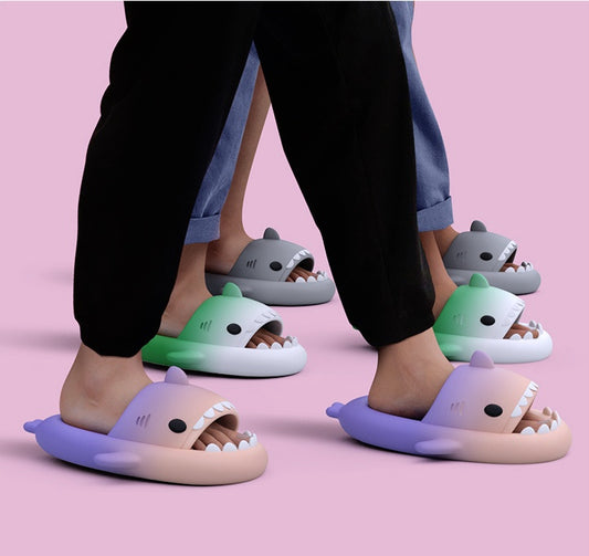 Shark Face Slippers