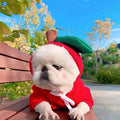 Cute Fruit Pet Hoodie