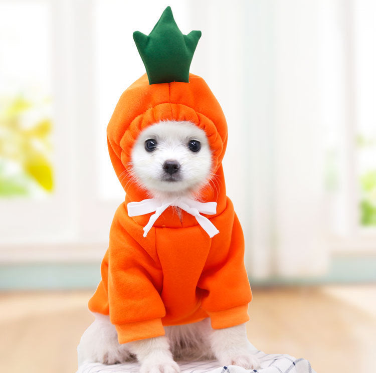Cute Fruit Pet Hoodie