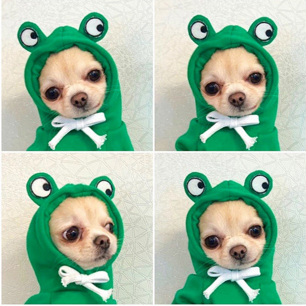 Cute Fruit Pet Hoodie
