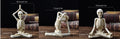Desktop Yoga Skeleton