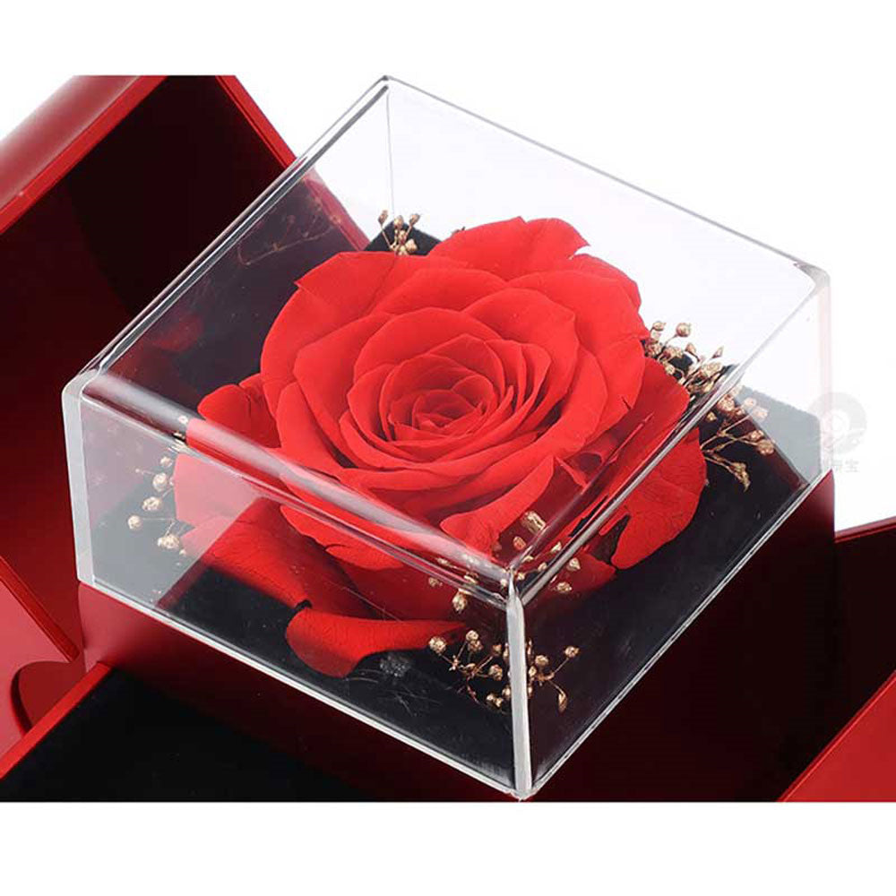 Red Apple Rose Necklace Gift Box – Forever Love Edition