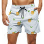 Men's Quick Drying Swim Trunks